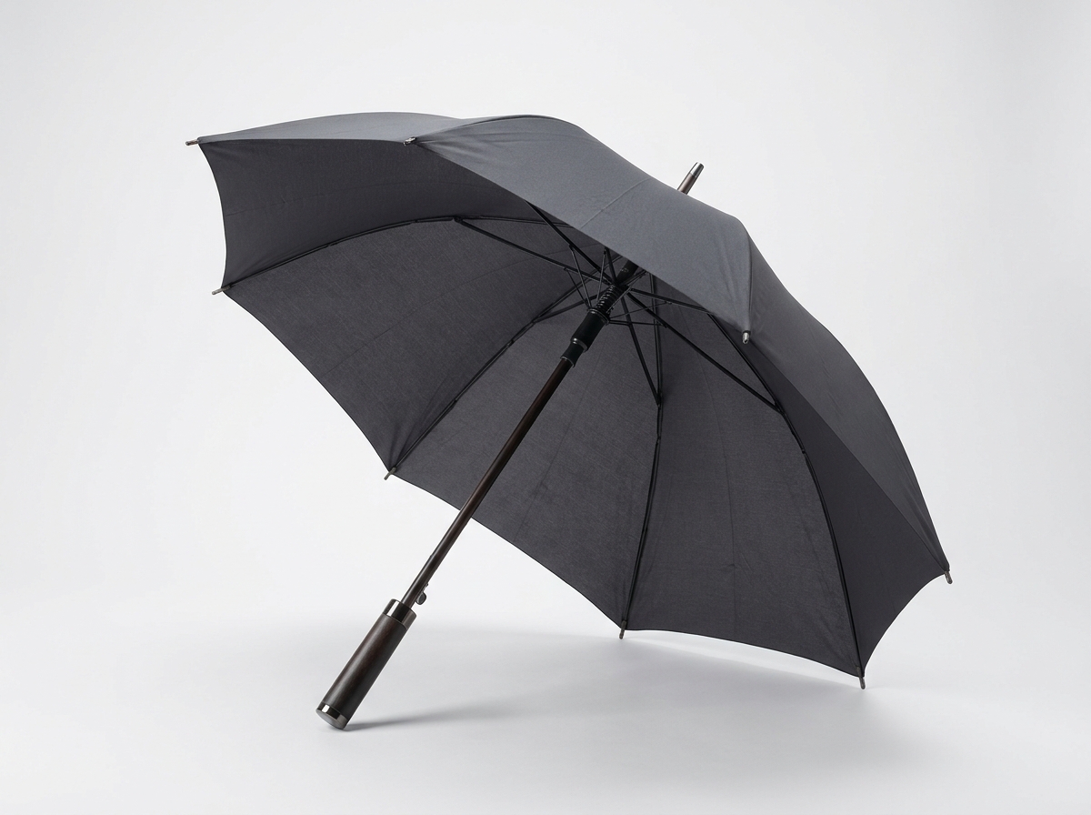晴雨兼用 日傘 メンズのイメージ画像